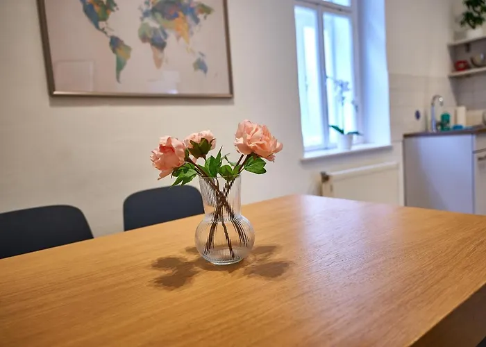公寓 Renovated & Cozy - Close To Museumsquartier 维也纳